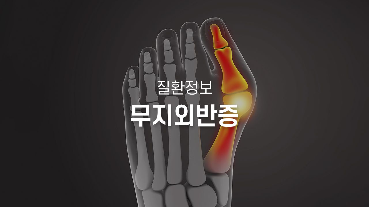병원 컨텐츠 이미지