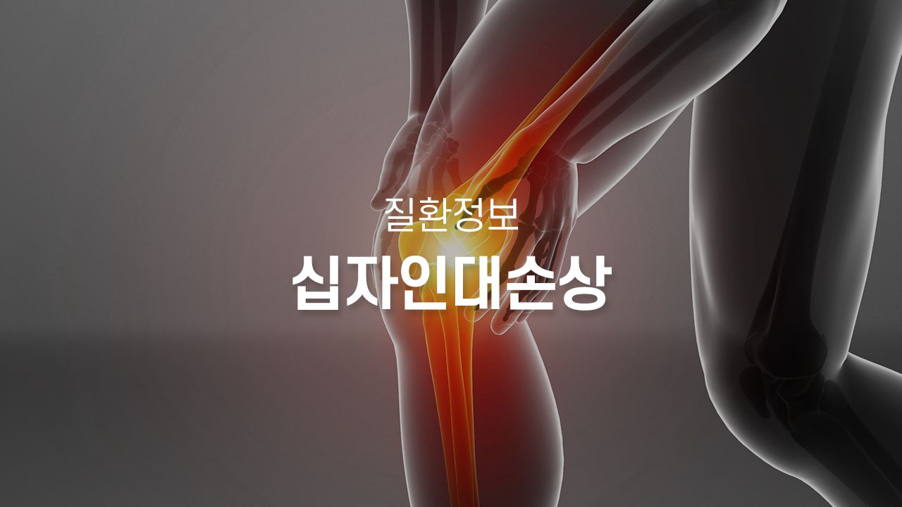 병원 컨텐츠 이미지