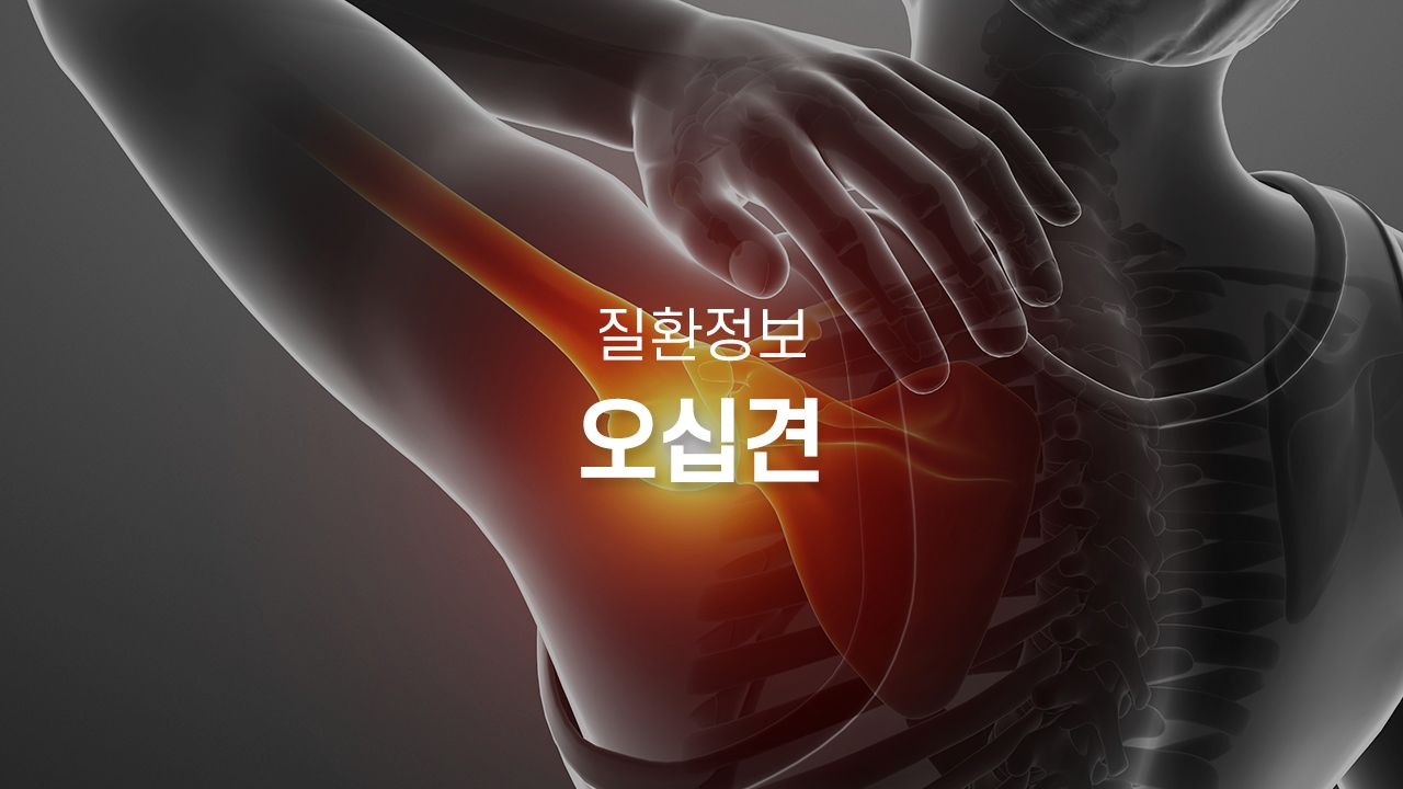 병원 컨텐츠 이미지
