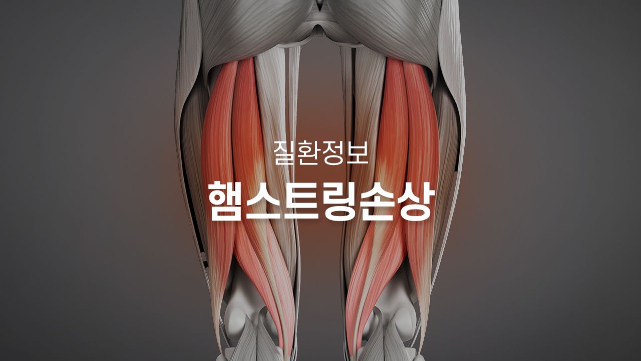 병원 컨텐츠 이미지