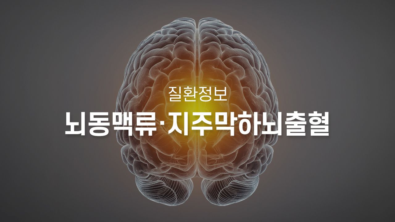 병원 컨텐츠 이미지
