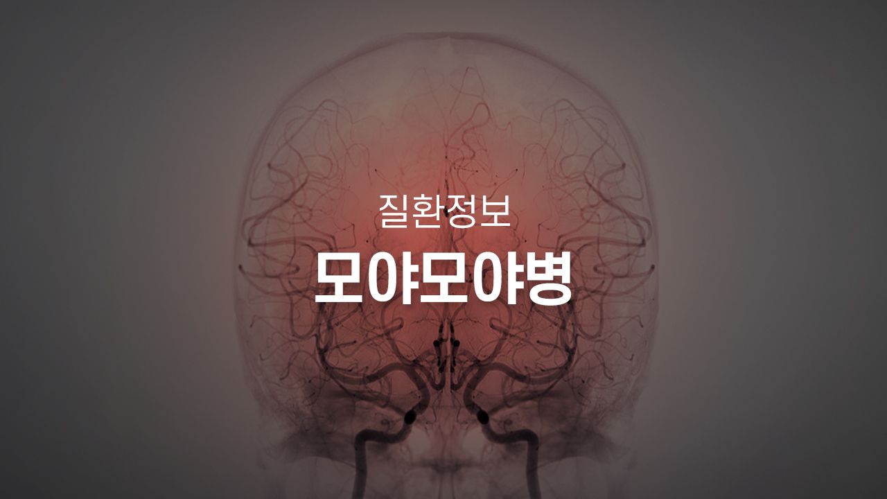 병원 컨텐츠 이미지