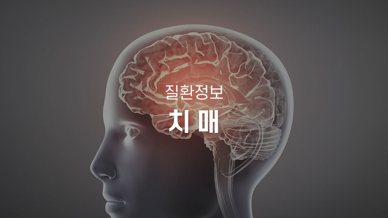 병원 컨텐츠 이미지